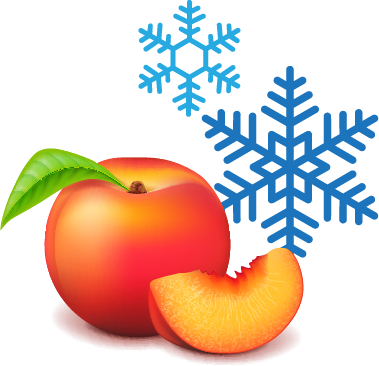 Peach Process Graphic Freezing[ ]
