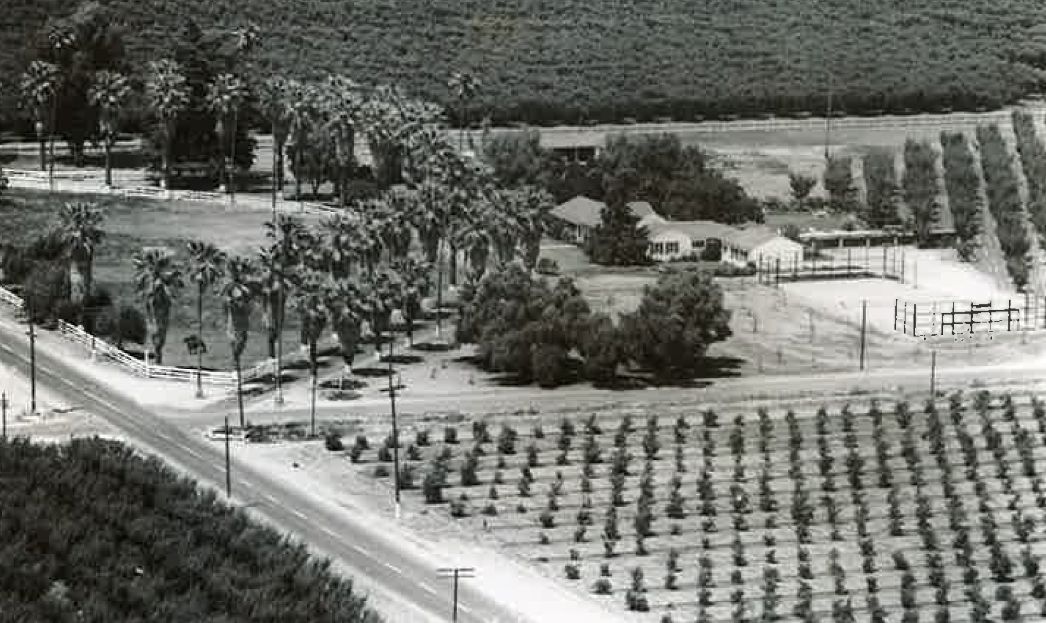 Vintage photo of the farm