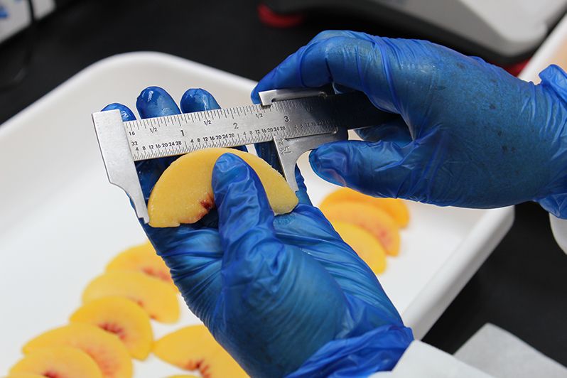 Wawona Lab test food safety testing size of a peach slice
