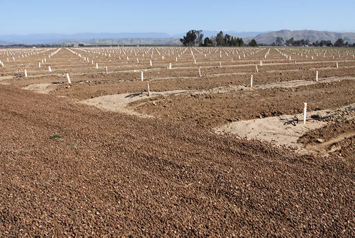 Freshly tilled farm land with irrigation pipes ready for sustainable crop growth.