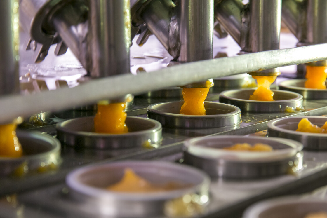 Efficient food production line dispensing orange puree into shiny containers at Wawona Frozen Foods.