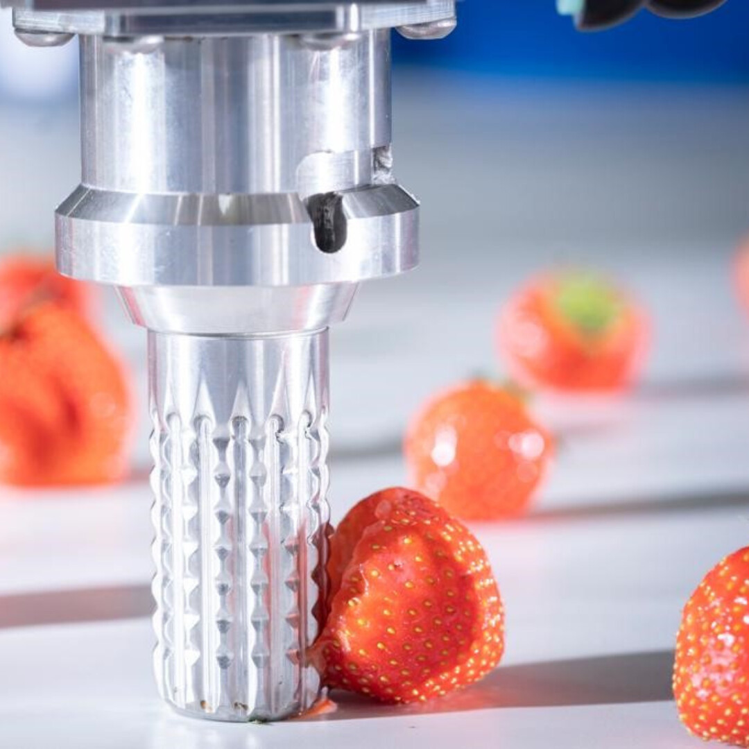 Robotic gripper handling fresh strawberries in an automated food processing setup.